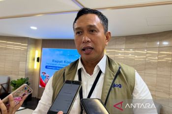 Bulog: Bantuan pangan jangkau seluruh korban gempa Flores
