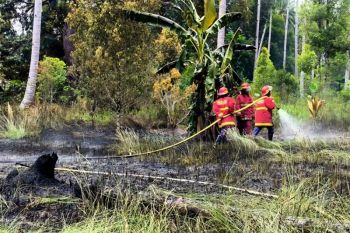 Pemkab Natuna padamkan kebakaran lahan 45 hektare