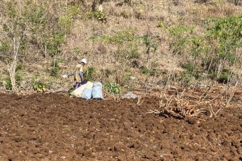 BPBD Gunungkidul memperpanjang status siaga darurat hidrometeorologi