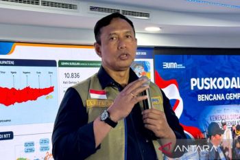 Bulog siapkan 300 ribu ton CBP jadi beras premium stabilkan harga