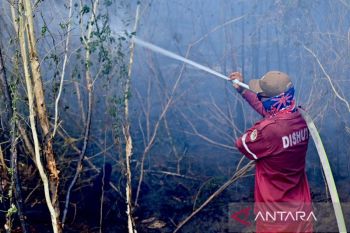 BMKG deteksi 1.299 titik panas di Kalimantan Selatan