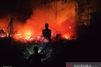Celios: Mitigasi karhutla penting cegah kerugian ekonomi