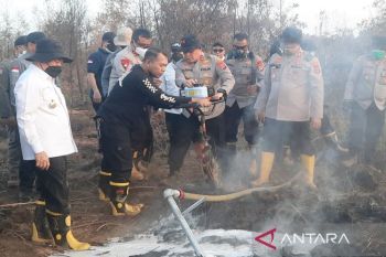 Ditreskrimsus Polda Kalsel bidik dua korporasi di lahan terbakar