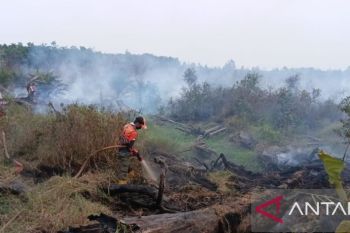 BPBD Muara Enim sebut 423,5 hektare lahan terbakar hingga September