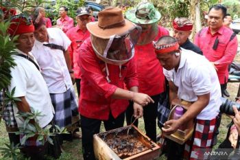 Bungan Desa ke-64, Bupati Sanjaya: Perkuat potensi pertanian hingga pariwisata kelas dunia