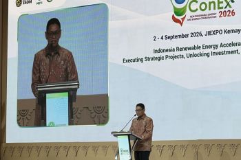 Govt accelerates renewable energy development amid global turmoil
