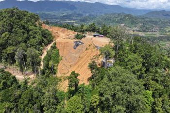 Kemenhut tetapkan 2 WNA China tersangka kasus tambang ilegal