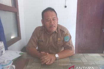 Pemkab Bangka jamin musim tanam padi sawah tepat waktu