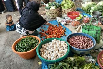 Mataram pastikan stok komoditas pertanian aman selama musim kemarau