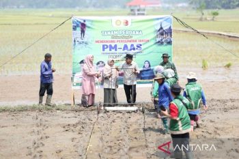 Pemkot Solok terapkan pertanian modern tingkatkan produktivitas