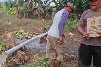 Banyumas mengandalkan pompa air jaga produksi padi saat kekeringan