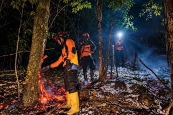 Kebakaran di Gunung Lemongan seluas 3 ha berhasil dipadamkan