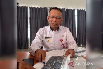 Pemkab Barito Selatan ajukan permintaan dukungan water bombing tangani karhutla