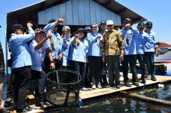 Komisi IV DPR mendukung penguatan ekosistem budidaya lobster di Lombok