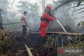 Satgas karhutla Jambi padamkan 86 hektare lahan gambut