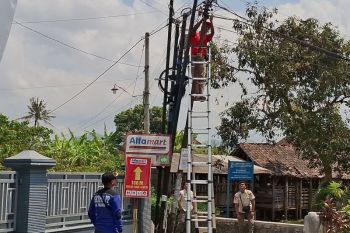 Satpol PP Tulungagung tertibkan kabel fiber optik tanpa izin