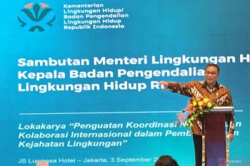 Indonesia, Interpol join forces to crack down on environmental crimes