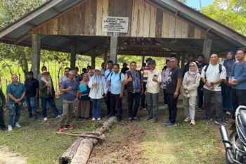 Pemkab Aceh Besar kembangkan sapi Aceh di pulau terluar