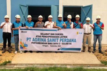 PLN perkuat dukungan listrik bagi industri sawit di sanggau
