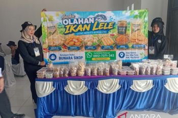 Masyarakat Transmigrasi kembangkan lele, daging hingga tulang diolah jadi produk bernilai jual