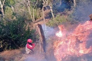 Asap tebal dan angin kencang jadi tantangan pemadaman karhutla di Gunung Bromo dan Butak