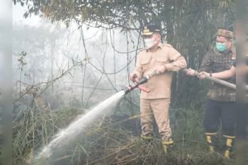 Gubernur Kalteng bantu langsung penanganan karhutla