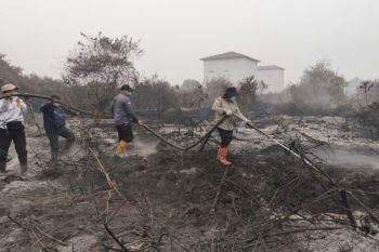 ASN Pemprov Kalteng berjibaku dukung penanganan karhutla