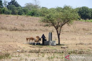 Satu kecamatan di Bima alami kekeringan ekstrem