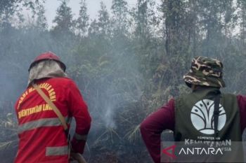Tim gabungan padamkan karhutla di dua desa Cagar Alam Teluk Adang