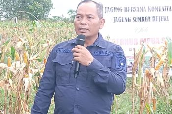 DP2KP Papua Selatan minta nelayan tidak tangkap ikan di perairan PNG