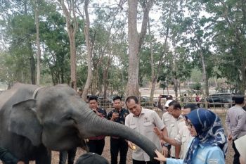 Komisi IV DPR minta penanganan karhutla di Way Kambas fokus pada pencegahan