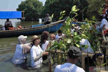 Pemkab Bekasi-pelaku usaha tanam 1.500 bakau di Pesisir Muaragembong