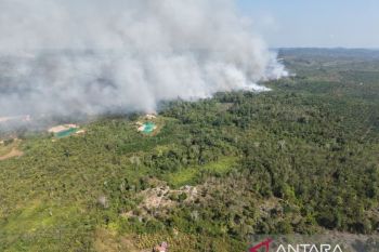 TNI AU kerahkan helikopter Caracal bantu padamkan karhutla dekat IKN