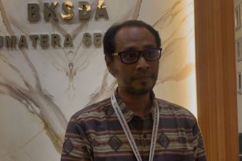 BKSDA Sumsel perketat pengamanan habitat gajah dari karhutla