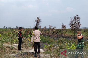 Rahmad Darmawan belum tentukan masa depannya