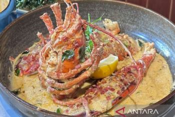 Pecinta seafood dapat menikmati American lobster di Surabaya