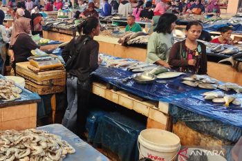 KKP ubah penyuluh perikanan di Palembang jadi agen entrepreneur