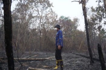 Karhutla Banjar capai 1.192 hektare sejak status siaga darurat