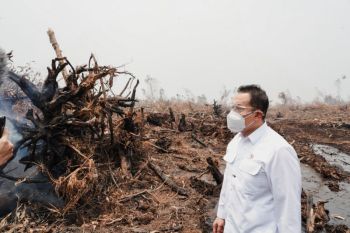 Wamen LH dukung praktik baik kolaborasi tangani karhutla di Jambi