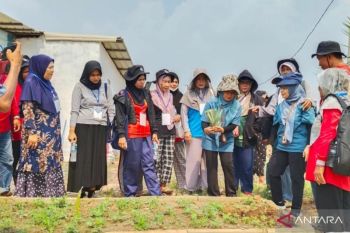BPPMT Pekanbaru ajak transmigran perempuan jadi penggerak ketahanan pangan