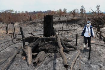 Menjaga Bukit Soeharto tetap  bernapas