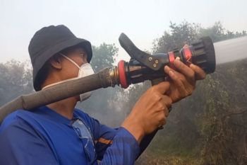 Bupati Banjar apresiasi tim gabungan bersama masyarakat tangani karhutla