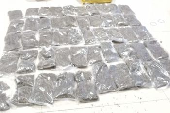 Penyelundup dua kilogram ganja ditangkap di Jayapura