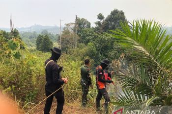 Brimob Polda Jambi patroli karhutla  di jalur lintasan gajah