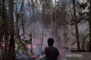 Dishut: Dedikasi Manggala Agni dan MPA redam karhutla  di Kutai Barat