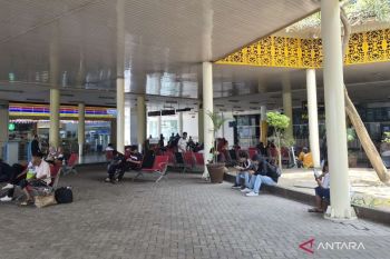 Penumpang di bandara Jambi pilih bertahan dampak pembatalan terbang