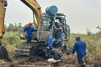 Gakkum Kehutanan amankan alat berat dan dua perambah hutan di Ketapang