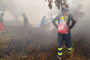 Polisi - relawan Wonosobo berhasil padamkan kebakaran hutan pinus