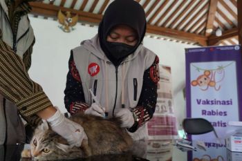 Pemkot Yogyakarta siapkan 3.000 dosis vaksin pertahankan nol rabies