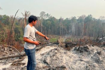 Ditreskrimsus Polda Kaltara selidiki dugaan tindak pidana Karhutla